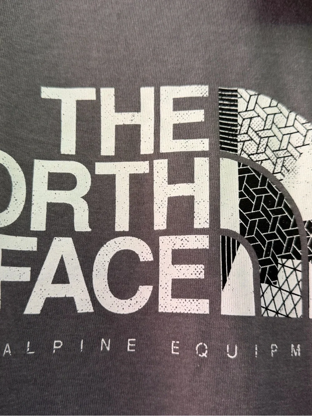 NWT The North Face Charcoal Graphic Logo Long Sleeve Scan Tee / Logo wear / LG